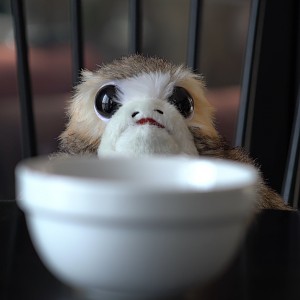 PORG - A Comedy Short